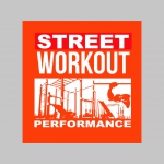 Street Workout Performance pánske tričko s obojstrannou potlačou materiál 100%bavlna značka Fruit of The Loom